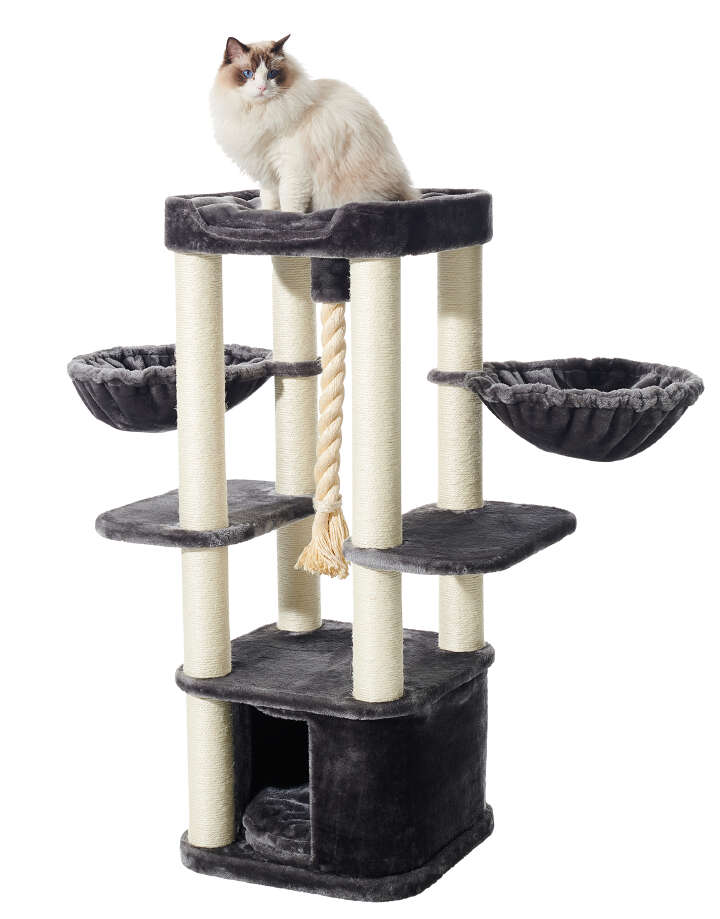 Nobby Kratzbaum Mugla